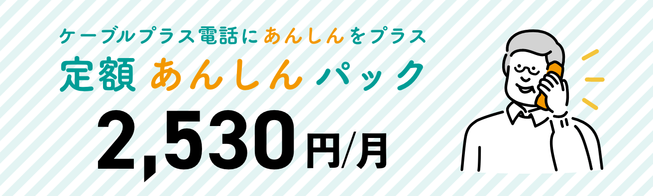 定額あんしんパック