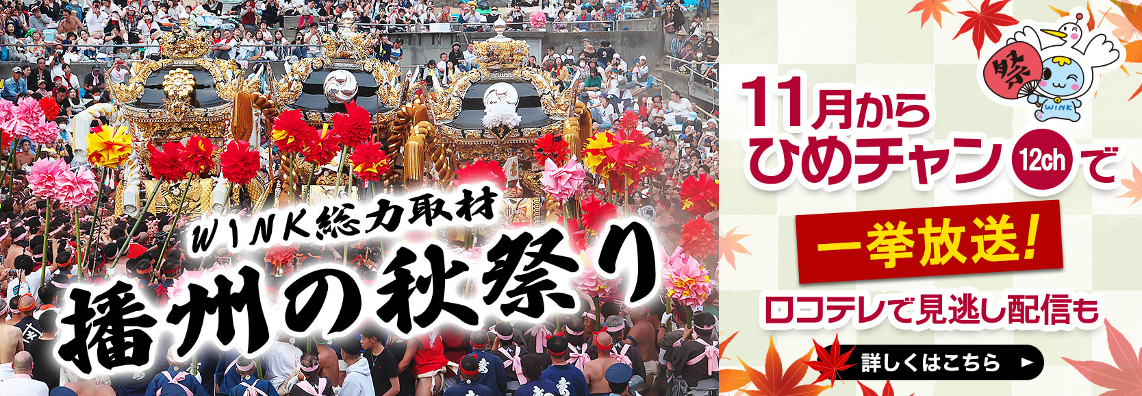 WINK「播州の秋祭り」特番